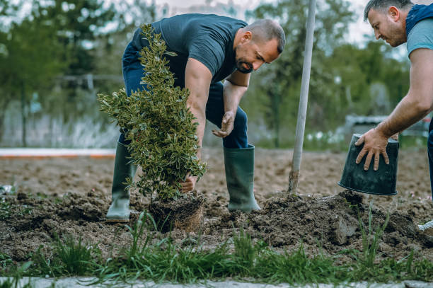 Best Tree Risk Assessment  in Selma, AL