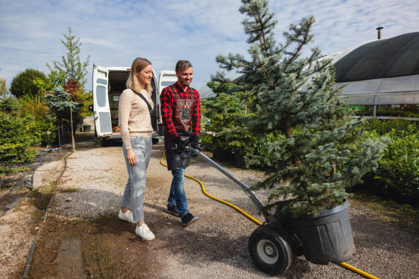 Trusted Selma, AL Tree Services Experts
